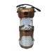Torch Light