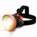 Torch Light