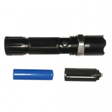 Torch Light